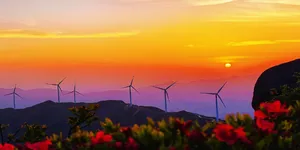 春上桂阳白水仙山，守着风车看花海