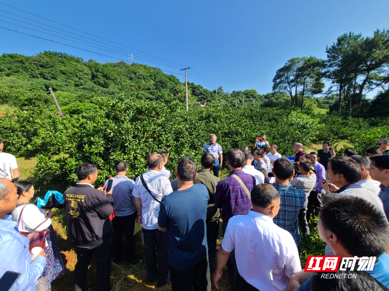 省园艺研究所副所长李先信为移民村级果树专干授课.jpg
