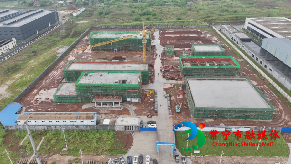 企业服务 (1).png