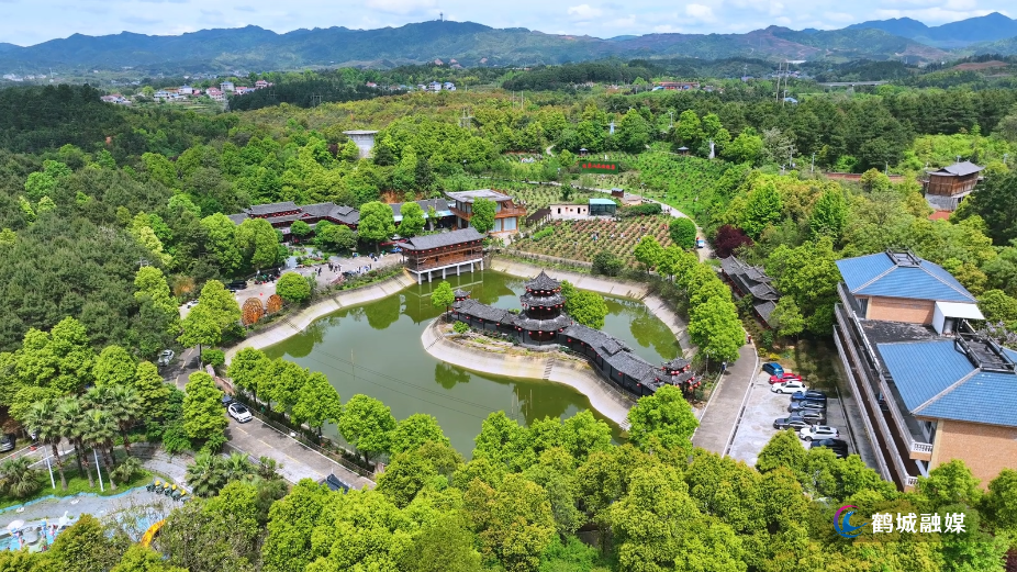 怀化市鹤城区：乡村玫瑰园盛放 赴一场春日浪漫之约（半成品）.mp4_20260430_160928.907.jpg