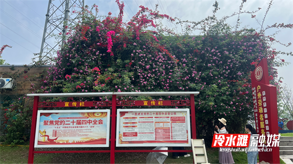 图片1(1).png