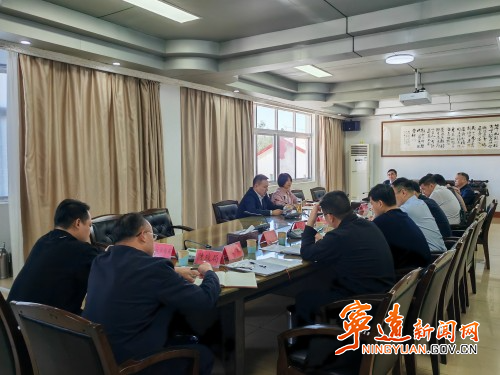 宁远召开医保基金管理突出问题专项整治工作推进会_副本500.jpg