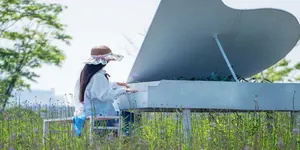 清水塘公园：花海中的悠然假日