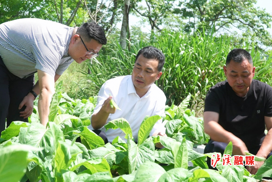 微信图片_20260504201130_182_884.jpg 微信图片_20260504201130_182_884.jpg