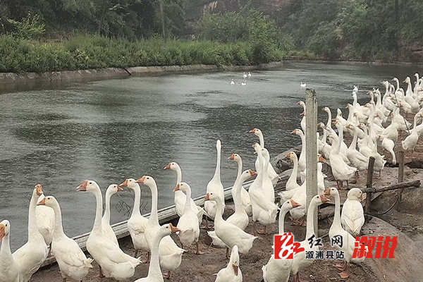 微信图片_20260507093459_345_24.jpg