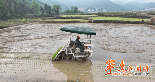 宁远：机械化种粮让农民当上“甩手掌柜”2_副本500.png