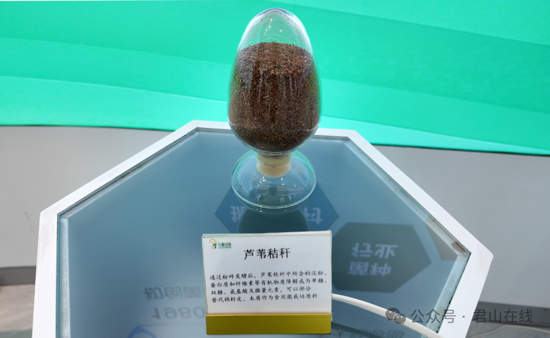 微信图片_20260424100403_49_19.png