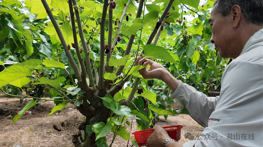 微信图片_20220420101241.jpg