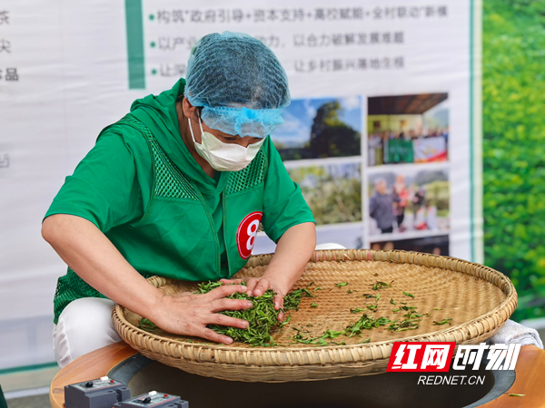 15_副本.jpg 15_副本.jpg