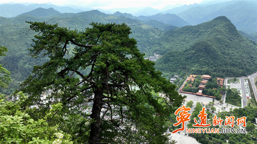 【美景不远·就在宁远】宁远:娥皇峰千年石枞苍劲迎客_副本500.jpg 【美景不远·就在宁远】宁远:娥皇峰千年石枞苍劲迎客_副本500.jpg