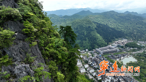 【美景不远·就在宁远】宁远:娥皇峰千年石枞苍劲迎客2_副本500.jpg 【美景不远·就在宁远】宁远:娥皇峰千年石枞苍劲迎客2_副本500.jpg