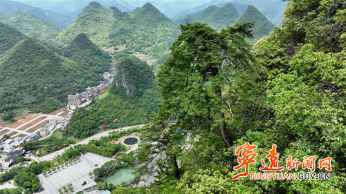【美景不远·就在宁远】宁远:娥皇峰千年石枞苍劲迎客3_副本500.jpg 【美景不远·就在宁远】宁远:娥皇峰千年石枞苍劲迎客3_副本500.jpg