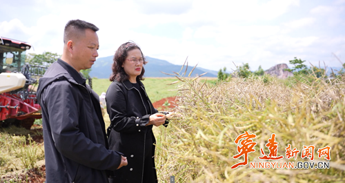 【永冲锋·拼经济·促发展】宁远：9.2万亩油菜喜获丰收3_副本500.png