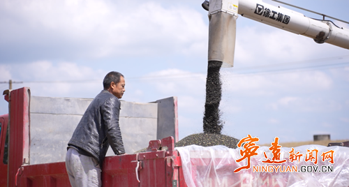 【永冲锋·拼经济·促发展】宁远:9.2万亩油菜喜获丰收2_副本500.png 【永冲锋·拼经济·促发展】宁远:9.2万亩油菜喜获丰收2_副本500.png
