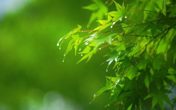 海忆：龙山的愿望