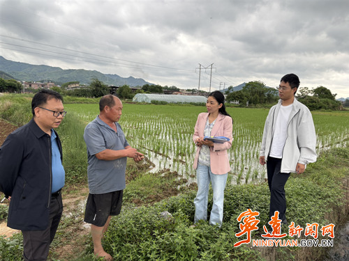 宁远：科技特派员送来丰收“定心丸”_副本500.jpg