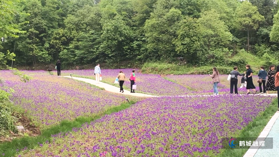 人民公园：繁花如约而至 满目清香沁人心.mp4_20260513_161920.410.jpg