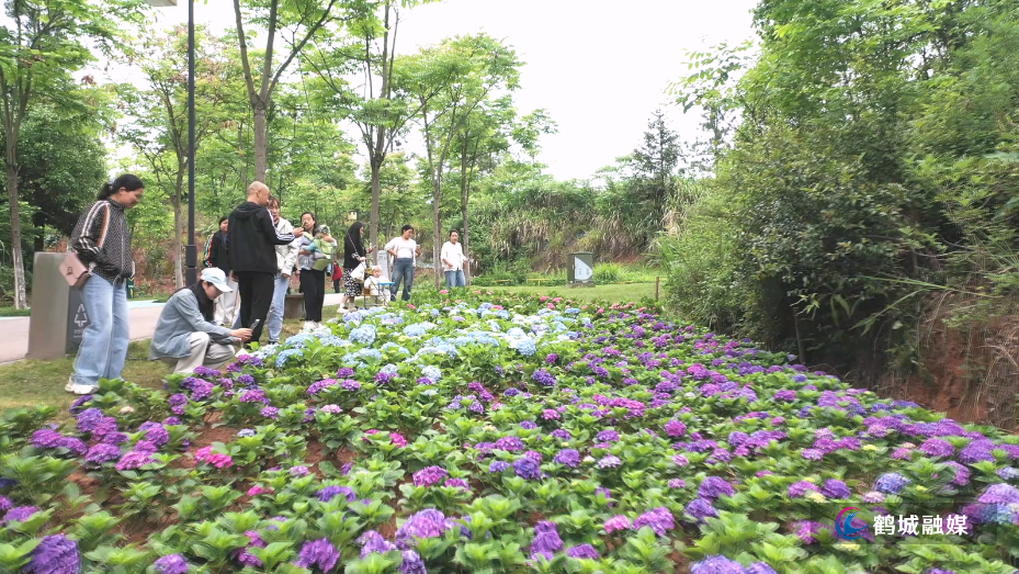 人民公园：繁花如约而至 满目清香沁人心.mp4_20260513_161716.761.jpg