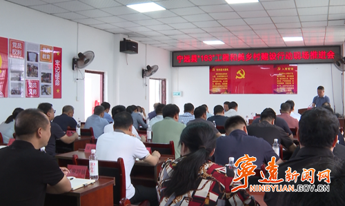 宁远县召开“163”工程和美乡村建设行动现场推进会_副本500.png