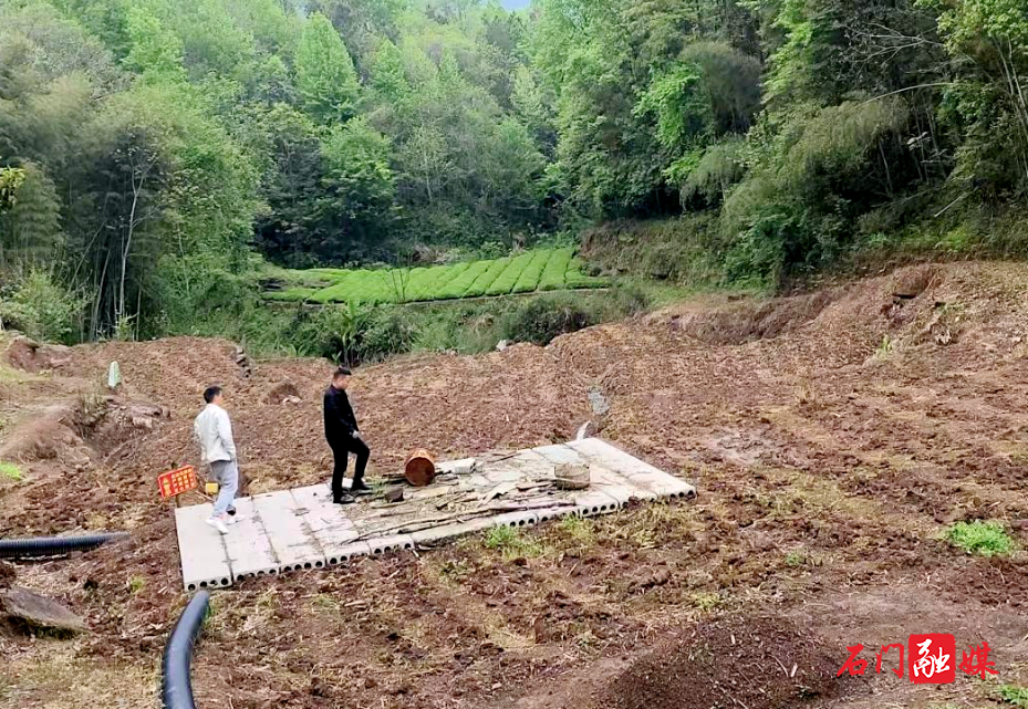 所街乡：防疫治污两手抓 筑牢畜牧养殖2.jpg
