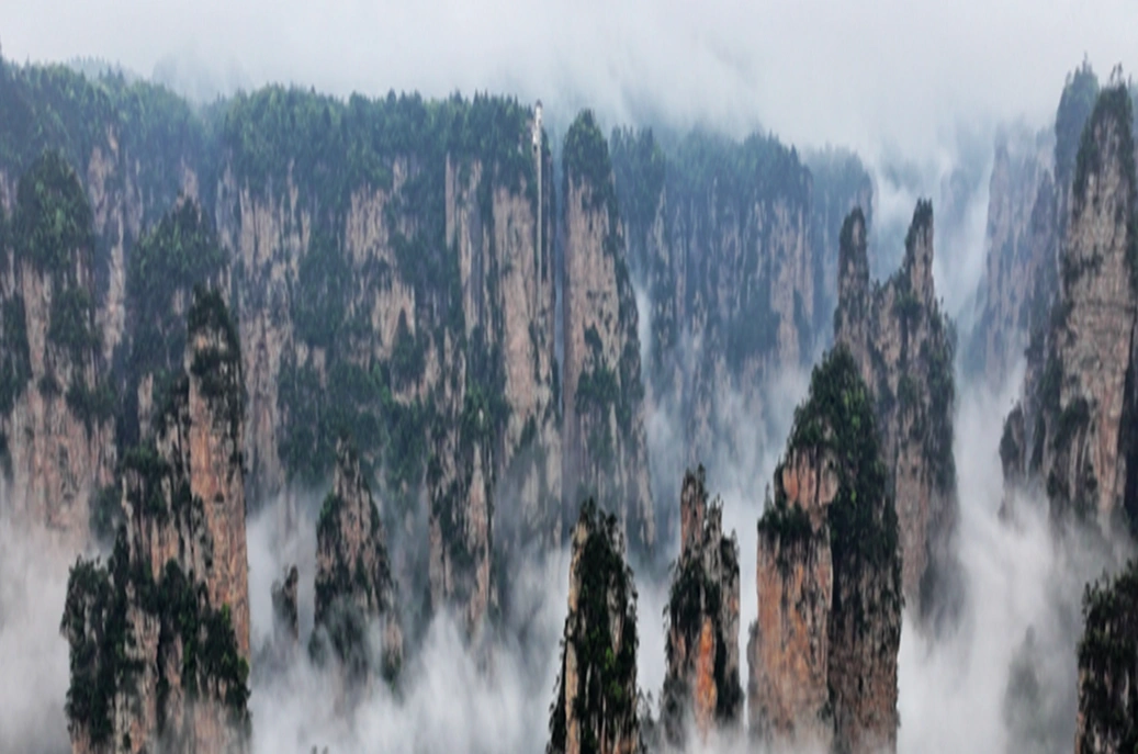 张家界景区初夏云海漫卷 峰林宛若水墨仙山