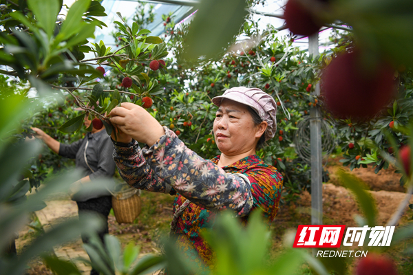 微信图片_20260515134337_85_297_副本.jpg 微信图片_20260515134337_85_297_副本.jpg