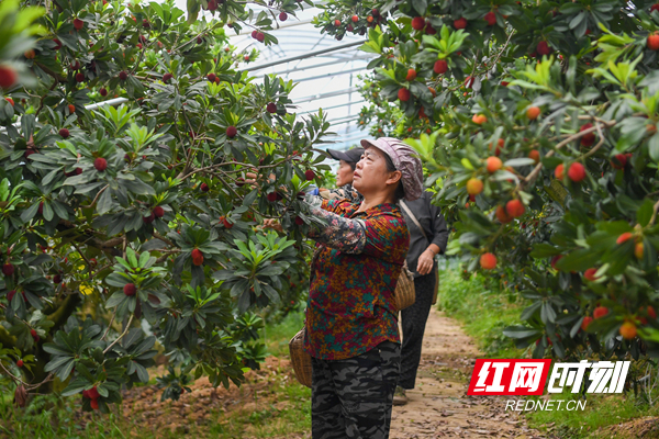微信图片_20260515134309_77_297_副本.jpg 微信图片_20260515134309_77_297_副本.jpg