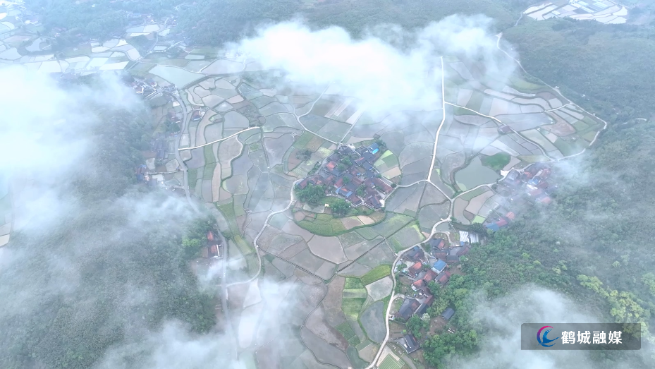 怀化市鹤城区：雨后云雾漫山野  田园初夏入画来（高清视频）.mp4_20260515_154526.441.jpg