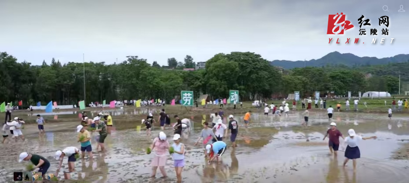 微信图片_20260515102832_309_192.jpg 微信图片_20260515102832_309_192.jpg