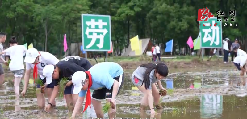 微信图片_20260515101852_62_69.png 微信图片_20260515101852_62_69.png