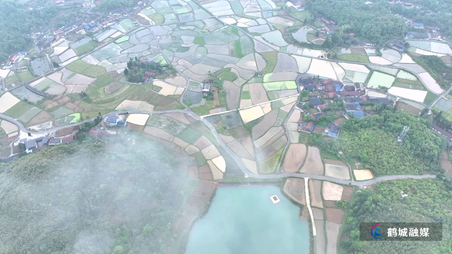 怀化市鹤城区：雨后云雾漫山野  田园初夏入画来（高清视频）.mp4_20260515_154542.520.jpg