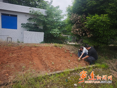 宁远县保安镇：整饬闲置边角地  荒地巧变“六小园”_副本500.jpg