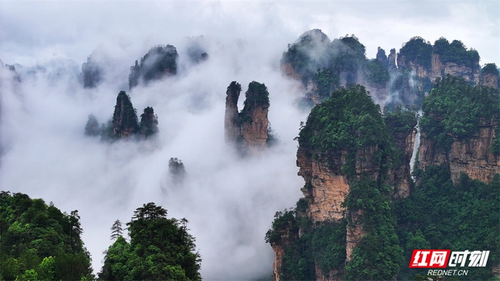 张家界景区：“悬浮山”仙境醉游人