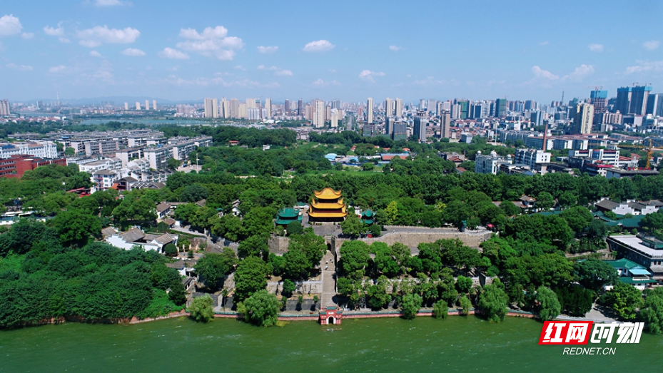 微信图片_20260519100112_2541_119.jpg