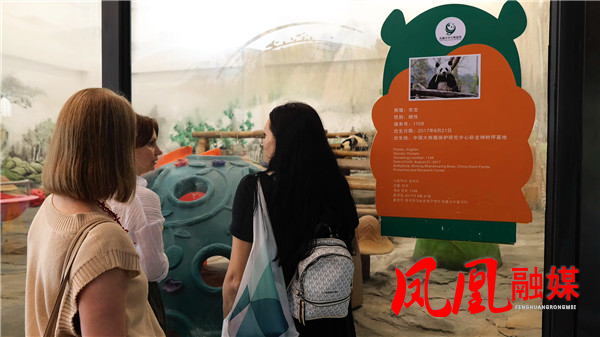 周末外国人看大熊猫[00_06_04][20260519-112507].jpg