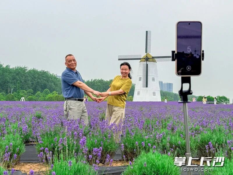 不少游客在薰衣草园区留下美好的回忆。 不少游客在薰衣草园区留下美好的回忆。