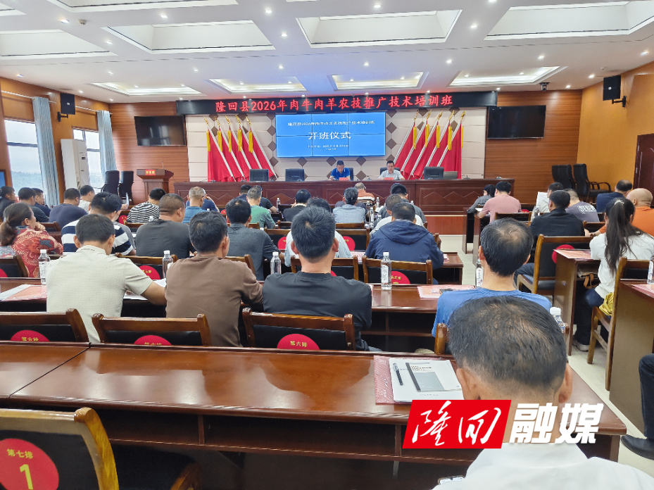 图片1_new.png 图片1_new.png