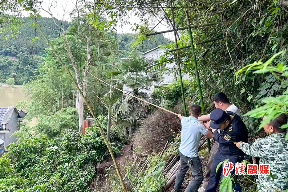潭溪镇排查险情预防.jpg 潭溪镇排查险情预防.jpg