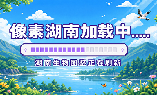 像素湖南 | 加载中……湖南生物图鉴正在刷新