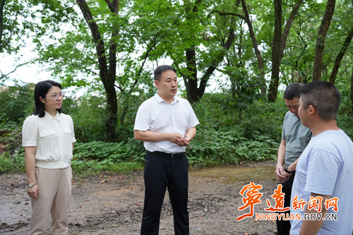 林亮亮检查防汛备汛工作_副本500.jpg 林亮亮检查防汛备汛工作_副本500.jpg