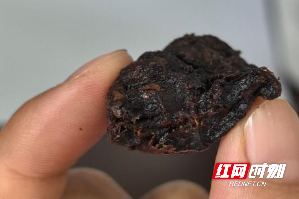 微信图片_20260520155303_253_231(1).jpg 微信图片_20260520155303_253_231(1).jpg