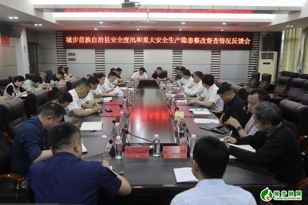 城步安全度汛和重大安全生产隐患整改督查情况反馈会召开(图3)