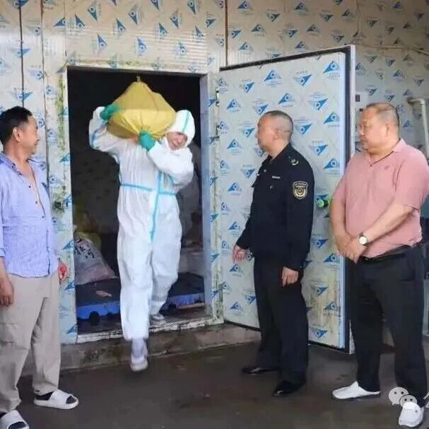 桑植县严查“僵尸肉”“白板肉” 重拳整治肉类安全隐患