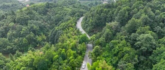 长株潭生态绿心,如何守得住又活起来?他们有话说