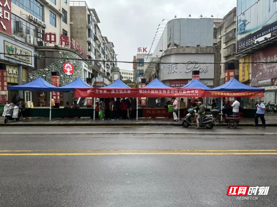 微信图片_2026-05-23_143124_479.jpg