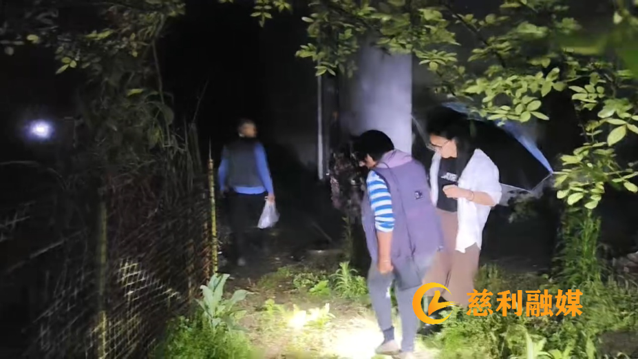 图片31.png