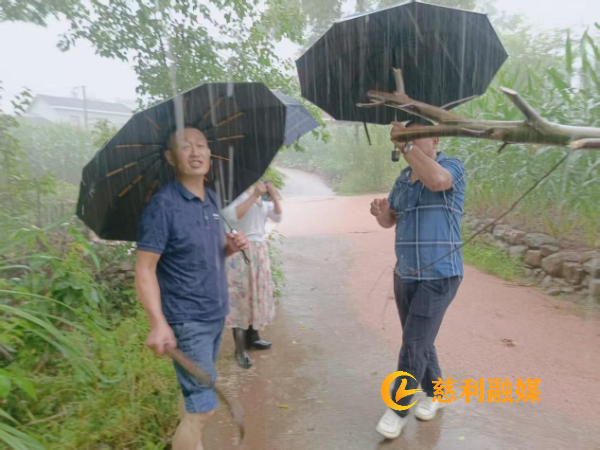 图片12.png