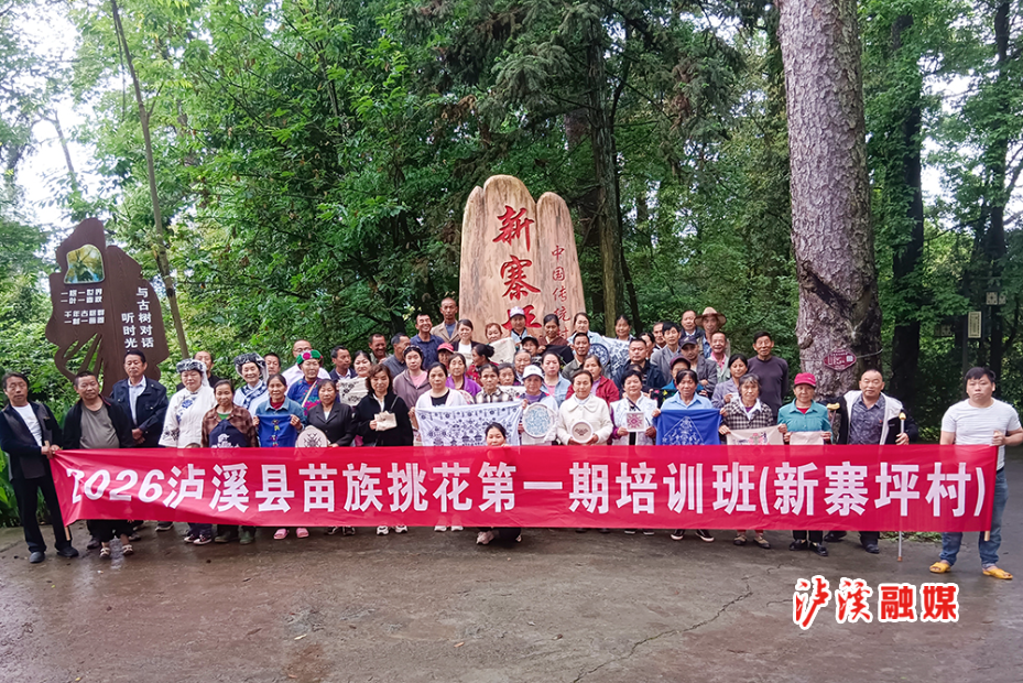 潭溪镇苗族挑花.jpg