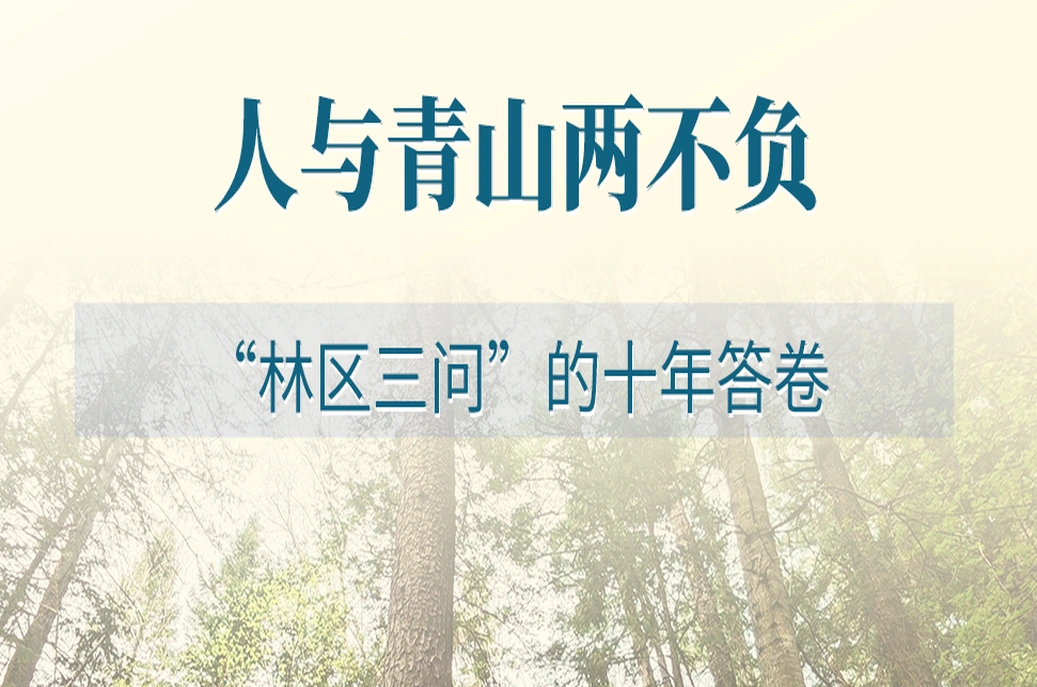 学习手记·创新理论引领创新实践 | 人与青山两不负——“林区三问”的十年答卷