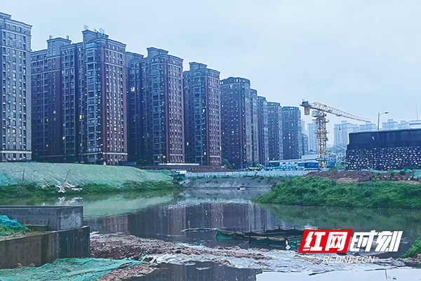 陈埠港黑臭水体蚊蝇滋生,困扰周边居民——陈埠港生态环境蝶变,改善居民生存环境.jpg 陈埠港黑臭水体蚊蝇滋生,困扰周边居民——陈埠港生态环境蝶变,改善居民生存环境.jpg